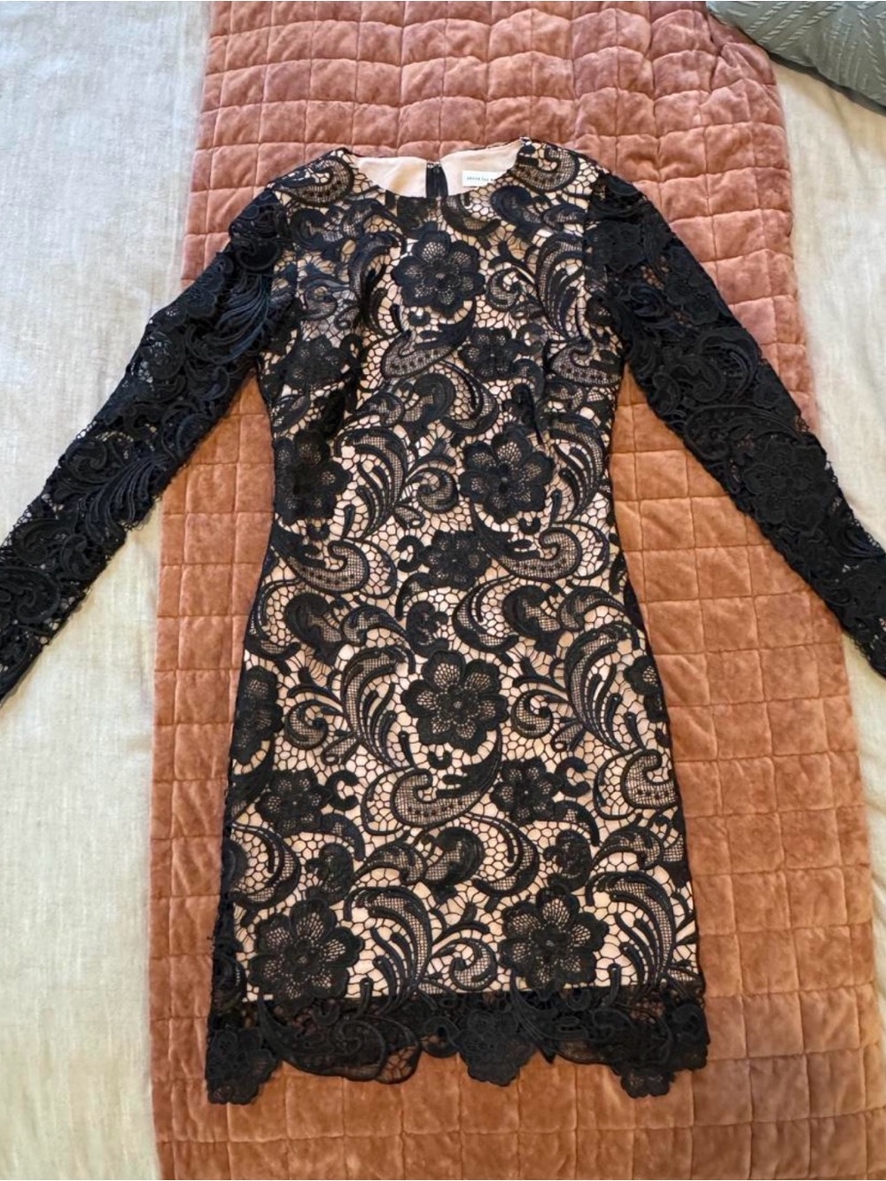Dress the Population Lace Sheath Dress with Nude Lining